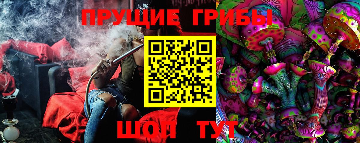 Псилоцибиновые грибы мухоморы Артёмовский