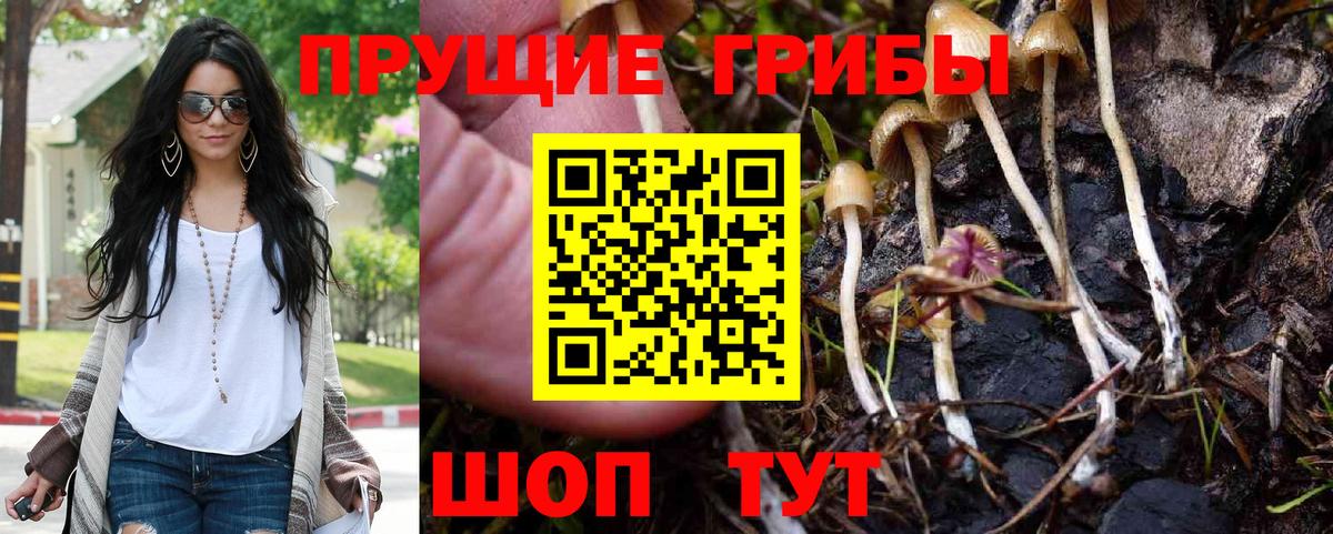 Псилоцибиновые грибы MAGIC MUSHROOMS  Вход с VPN  наркошоп  Артёмовский 